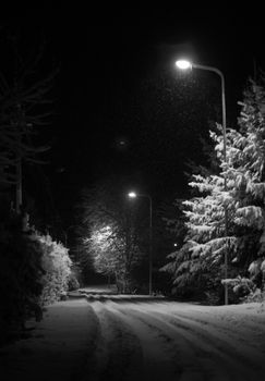 A serene winter scene of a snowy street illuminated by lampposts at night.