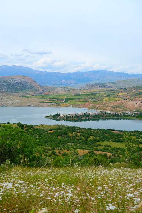 A view of a lake and mountains from a hill