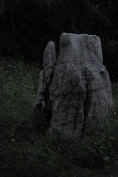 A stone statue in the middle of a field