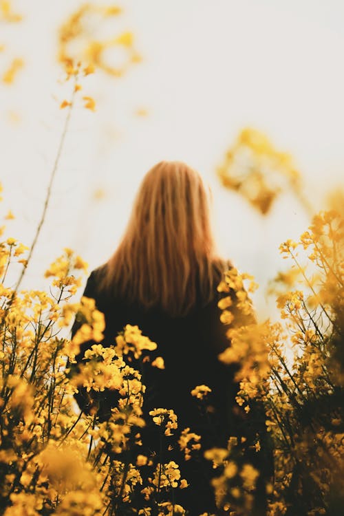 Free Low Angle Photo of Woman Standing Near Yellow Flowers Stock Photo