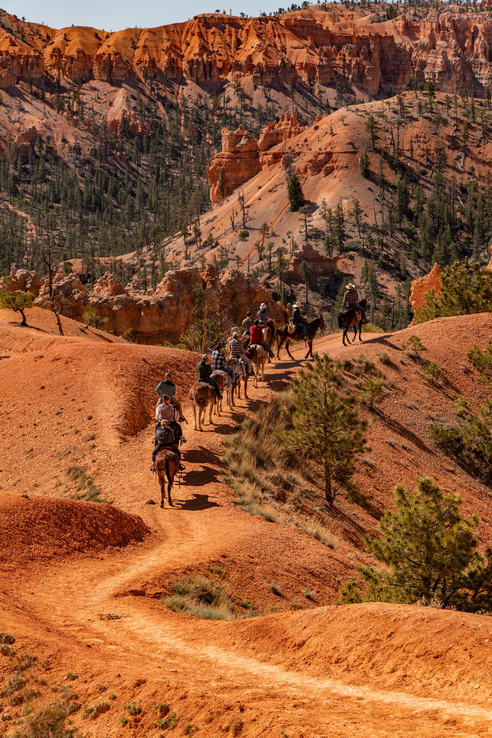 People riding horses down a dirt road in the desert · Free Stock Photo