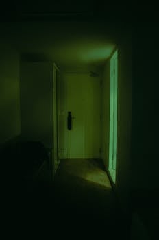 走廊里灯光昏暗，门紧闭着，营造出一种诡异的氛围