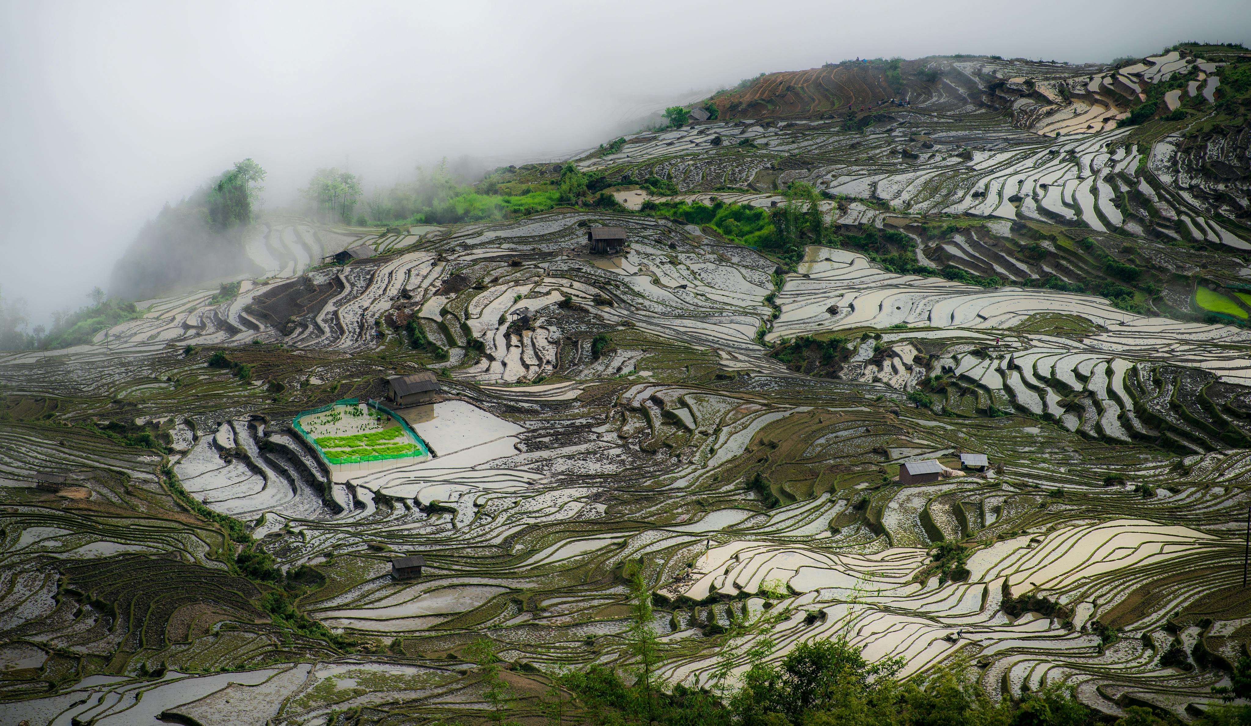 A breathtaking view of the mist-covered Honghe Hani Rice Terraces in Yunnan, China.