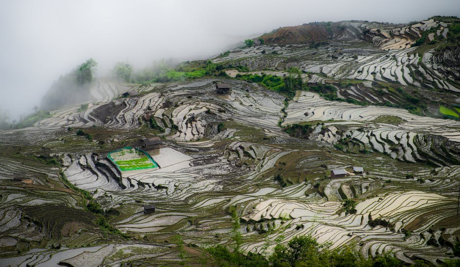 A breathtaking view of the mist-covered Honghe Hani Rice Terraces in Yunnan, China.