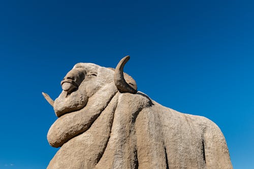 Δωρεάν στοκ φωτογραφιών με bighorn πρόβατα, goulburn, rock