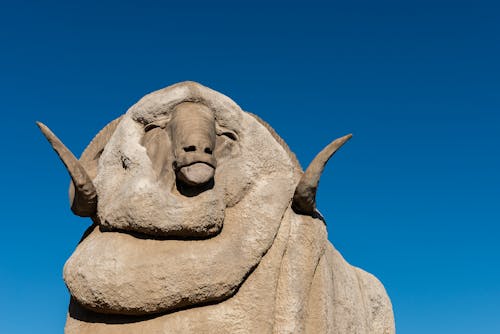 Darmowe zdjęcie z galerii z australia, baran, betonowa statua