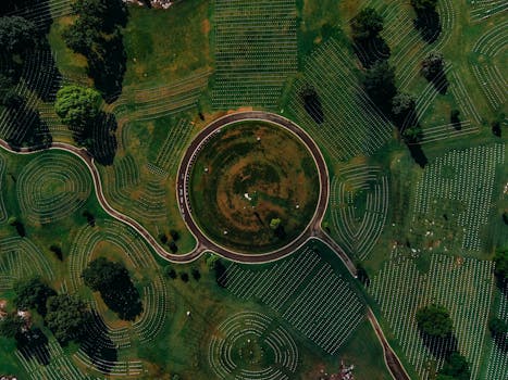 从航拍照片中可以看到，查塔努加国家公墓采用了圆形道路设计，绿化郁郁葱葱