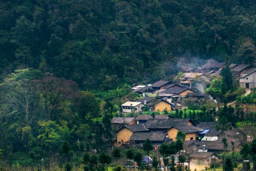 Free Aerial view of a serene village surrounded by lush forest, showcasing rural life. Stock Photo