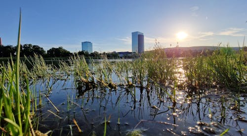 Free stock photo of bratislava, kuchajda, lake