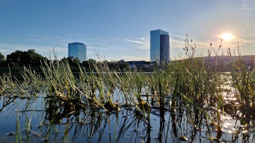 Free stock photo of bratislava, kuchajda, lake