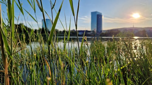 Free stock photo of bratislava, kuchajda, lake