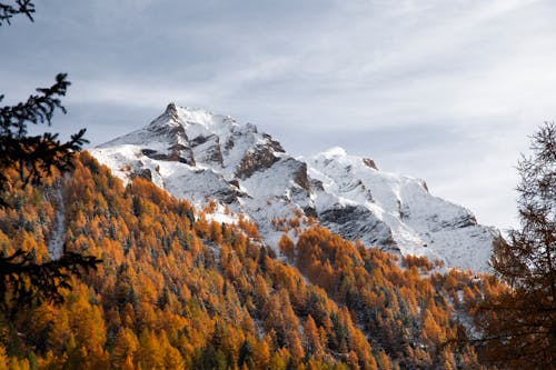 눈 덮인 가을 산 알프스