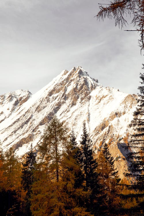Südtirol의 눈 덮인 가을 산
