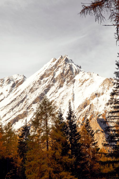 Foto d'estoc gratuïta de @outdoor, a l'aire lliure, alba