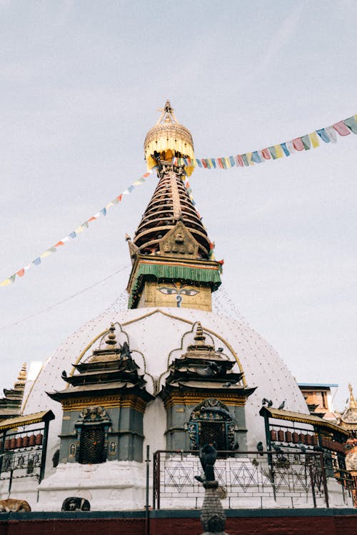 佛塔, 加德滿都, 尼泊爾 的 免費圖庫相片