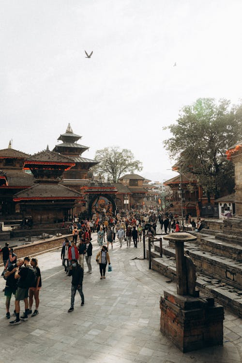 네팔, 더르 바르 광장, 아시아 건축물의 무료 스톡 사진