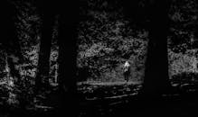 一名女子孤独的身影走过茂密林间小径，被戏剧性的黑白影像所捕捉