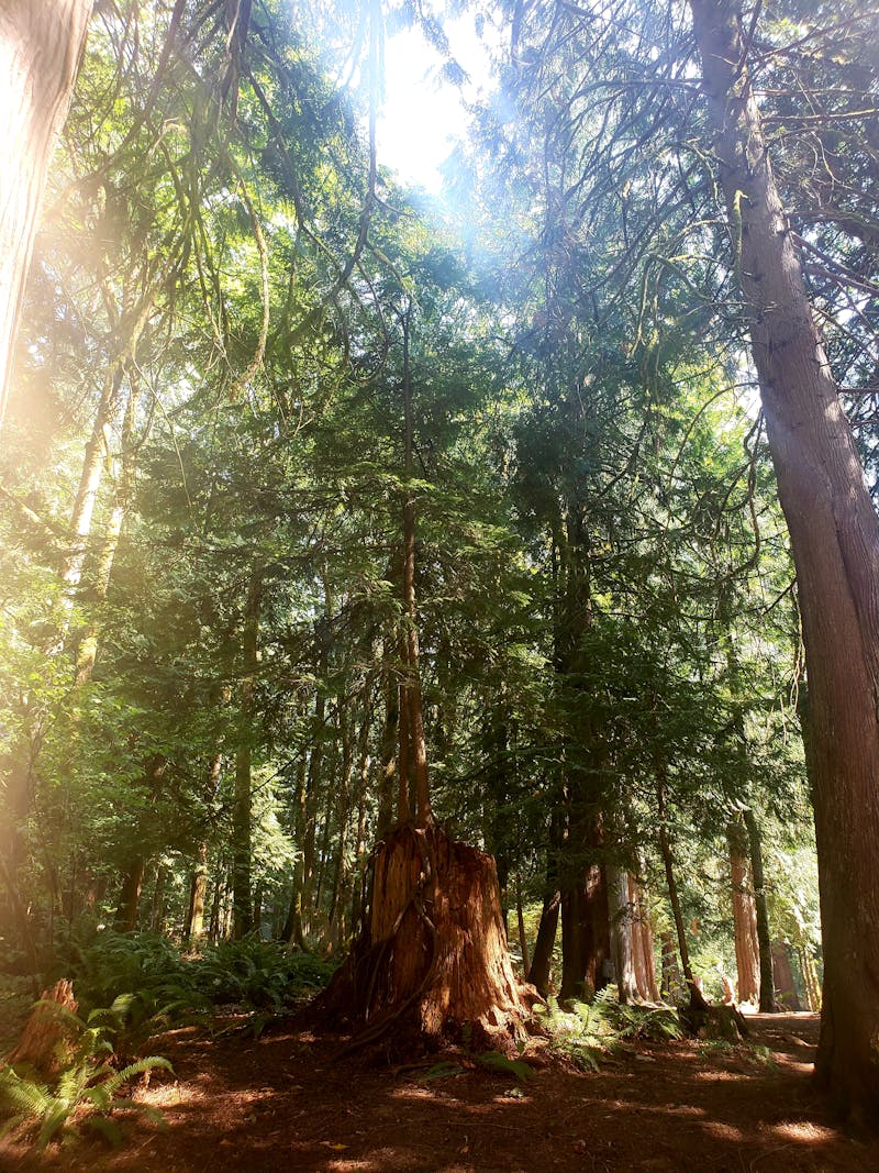 How Running Events in Jakarta Have Shaped Indonesia's Fitness Community - Mesa Race article on Community