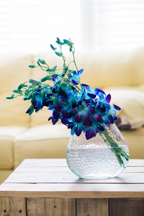 Free Blue Flowers In A Vase Stock Photo