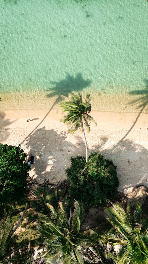 Безкоштовне стокове фото на тему «берег моря, Берегова лінія, вид зверху»