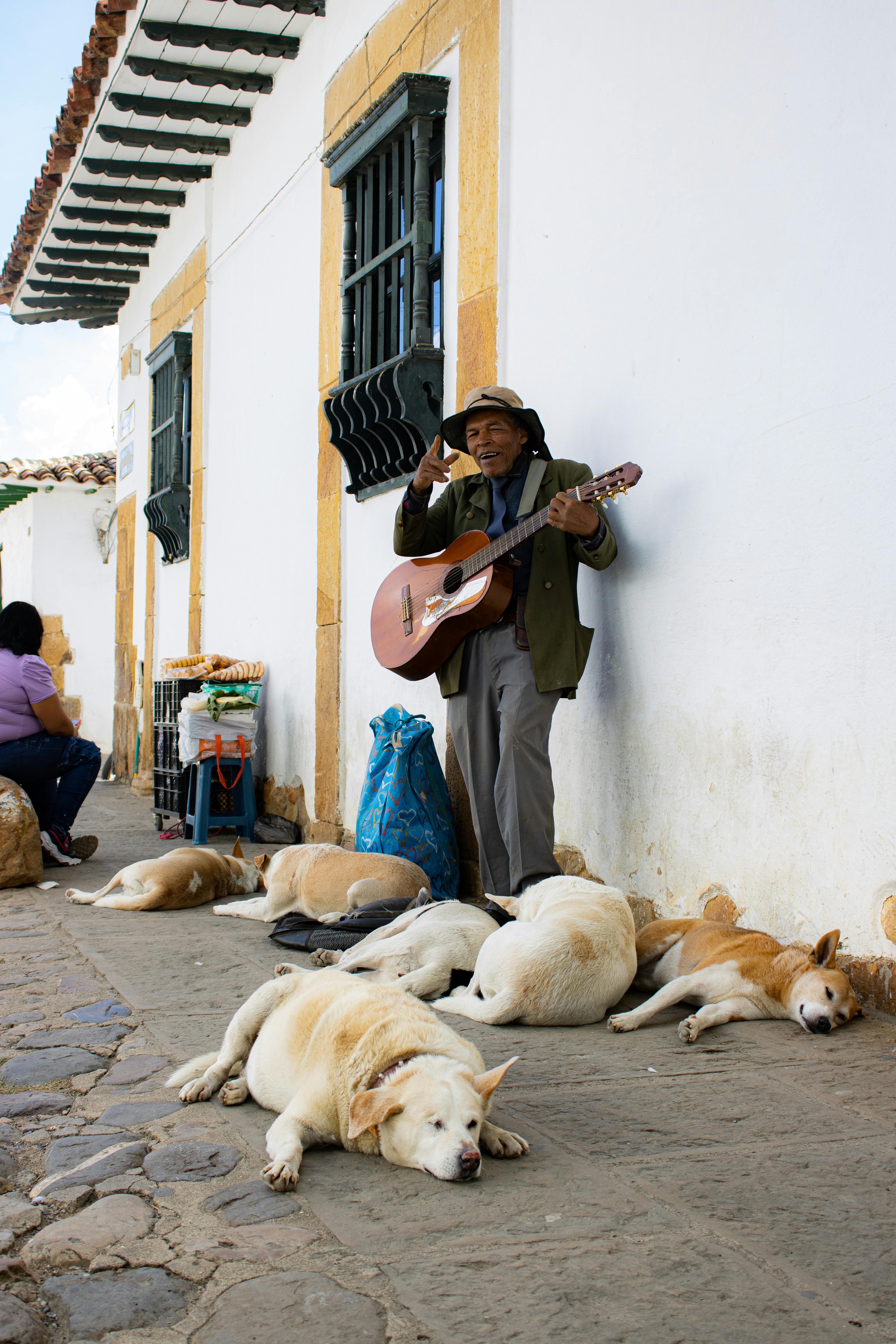 A man playing a guitar while laying on the ground with dogs