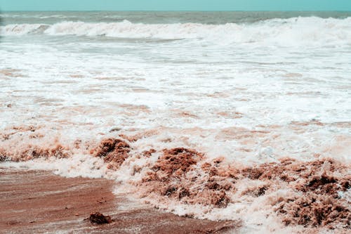 Free sand and water
 Stock Photo