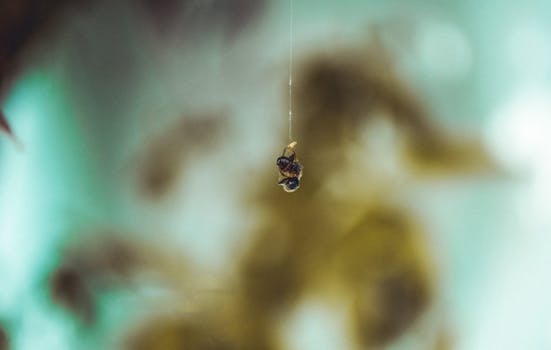 一只甲虫挂在线上，背景是模糊的自然景色特写