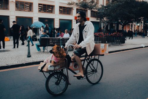 Free A man rides a bicycle with a dog in a basket along city streets in Curitiba, Brazil. Stock Photo