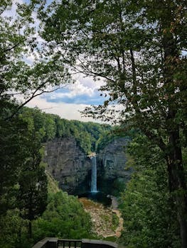 在纽约郁郁葱葱的夏季森林中，探索陶格诺克瀑布的宁静之美