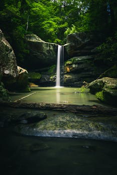 在宁静的肯塔基州森林中，一道美丽的瀑布级联而下，非常适合自然爱好者