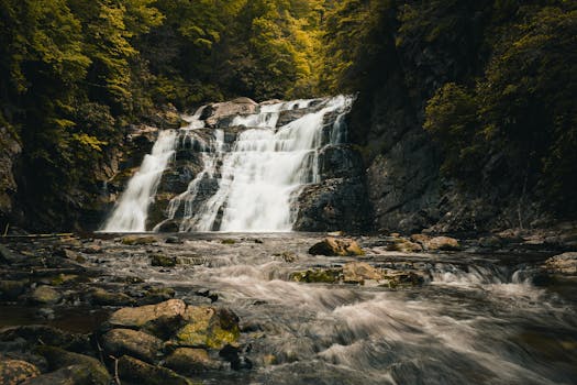 宁静的瀑布流过郁郁葱葱的森林，展现出充满活力的自然环境