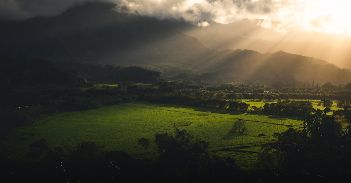 Photo by Matthew DeVries Stunning view of Kauai fields under dramatic sunset light, capturing Hawaii's natural beauty.