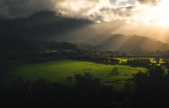 Photo by Matthew DeVries Stunning view of Kauai fields under dramatic sunset light, capturing Hawaii's natural beauty.