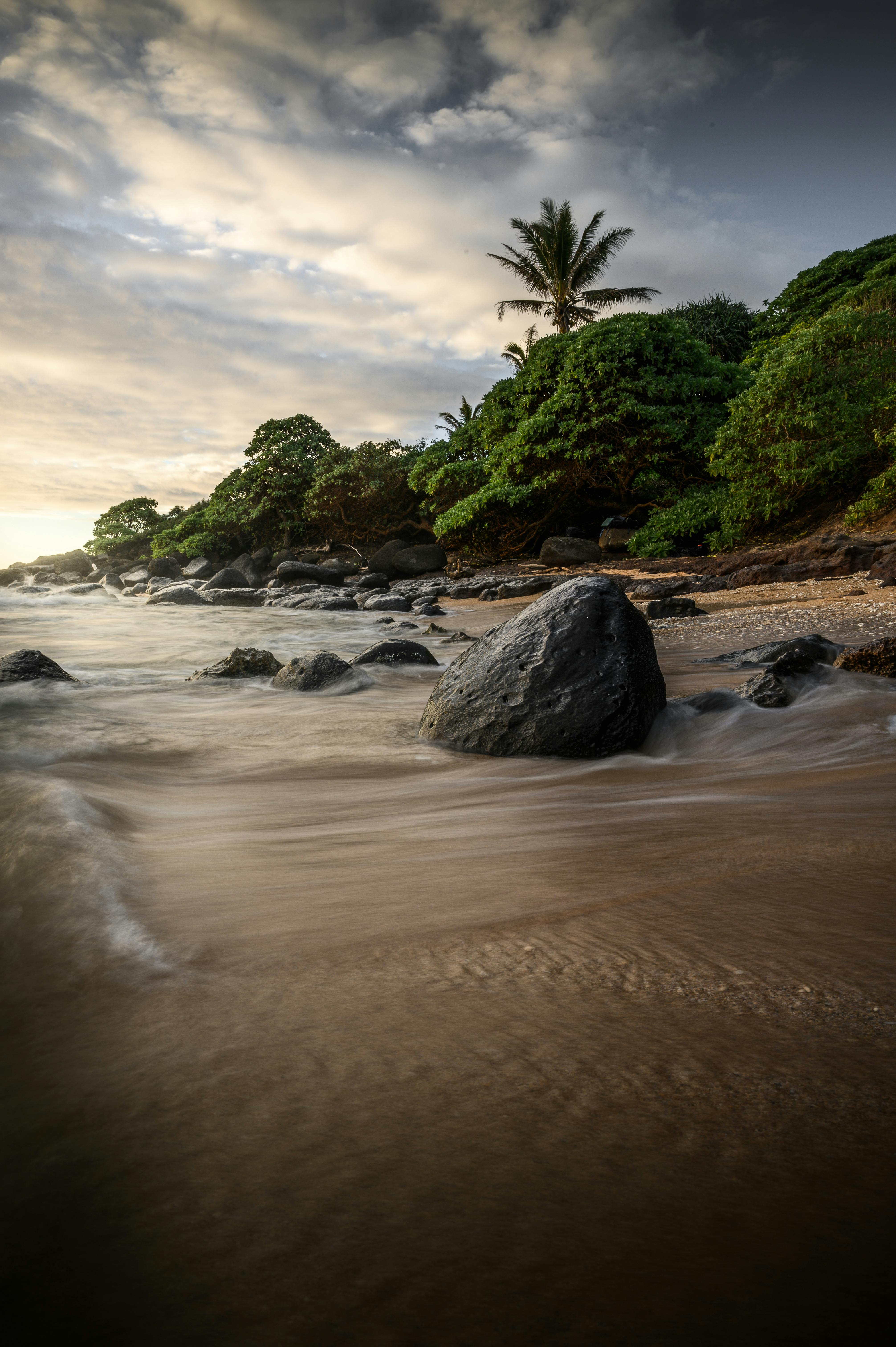 seashore pictures seashore pictures