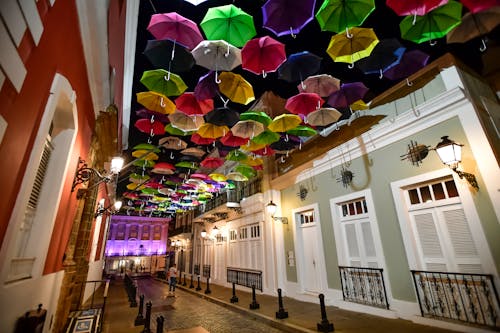 bezplatná Základová fotografie zdarma na téma barevný, calle la fortaleza, deštníky Základová fotografie