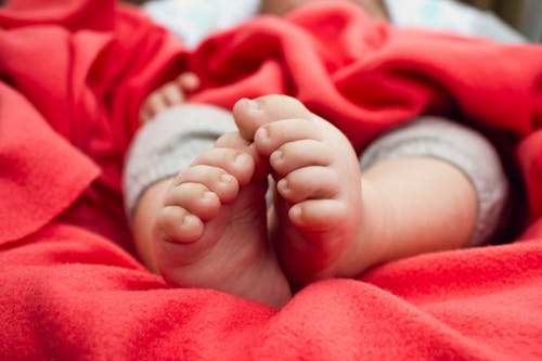 Free Baby's Feet Stock Photo