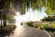 一条阳光明媚的小路穿过水边郁郁葱葱的公园，绿树成荫，气氛宁静