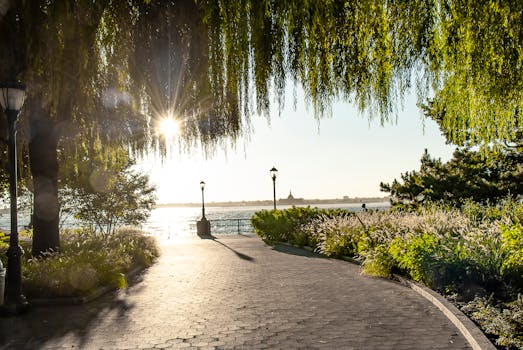 一条阳光明媚的小路穿过水边郁郁葱葱的公园，绿树成荫，气氛宁静