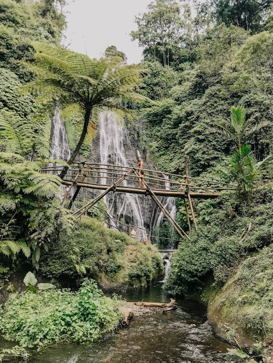 Brown Bamboo Bridge Near Trees