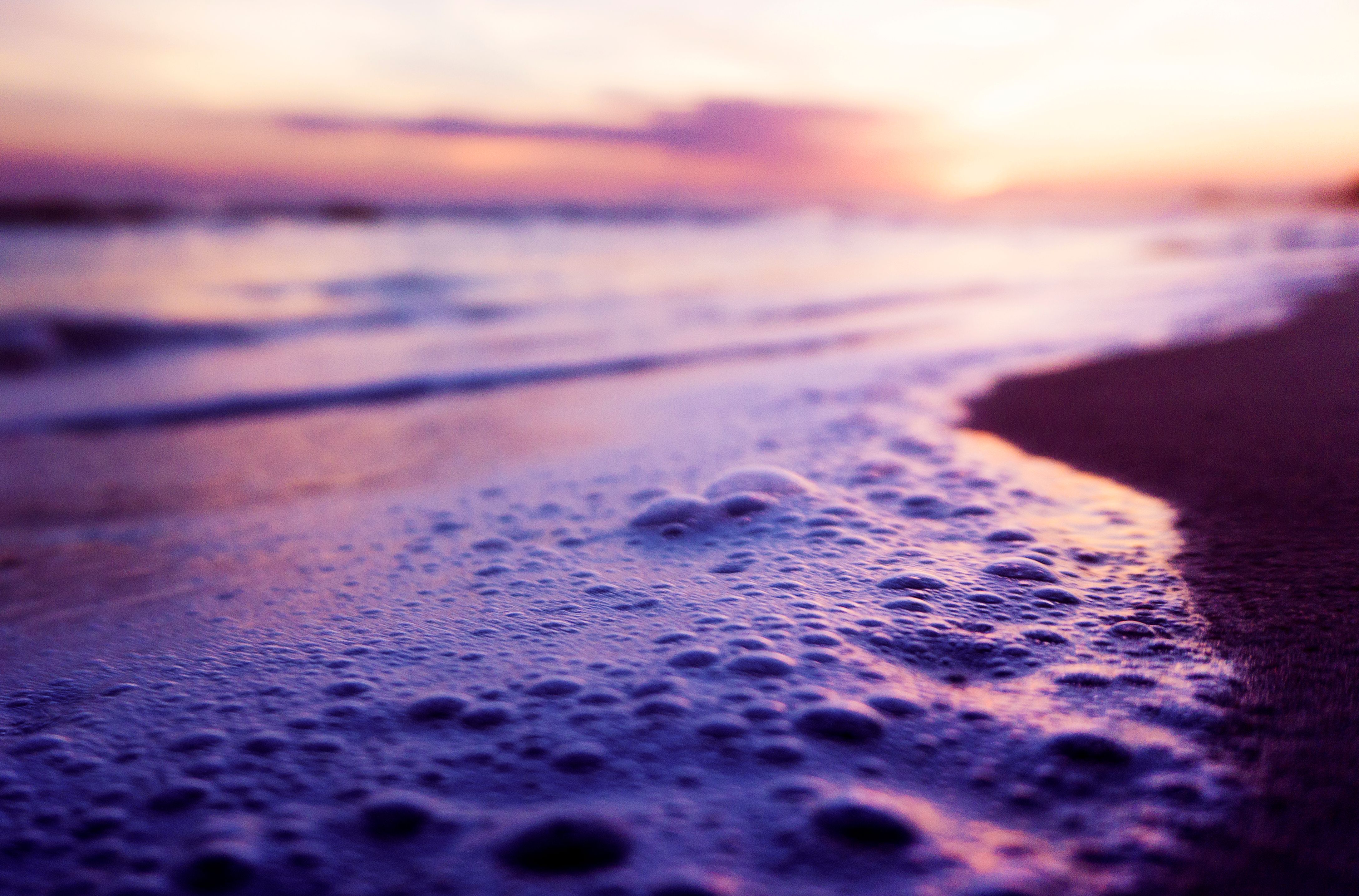 Shallow Water Foam on Sea Shore at Sunset · Free Stock Photo
