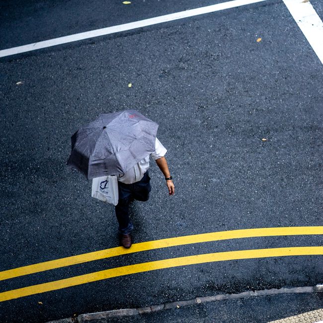 A solitary pedestrian walks across a street during a rainy day, holding an umbrella for shelter.