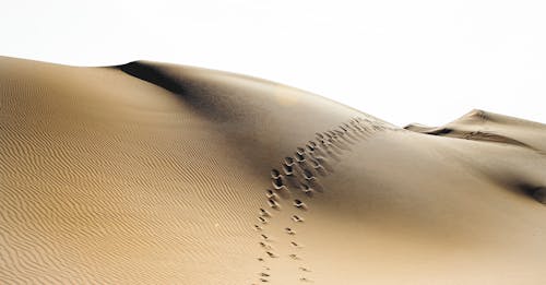 Free Footprints on Sand Stock Photo