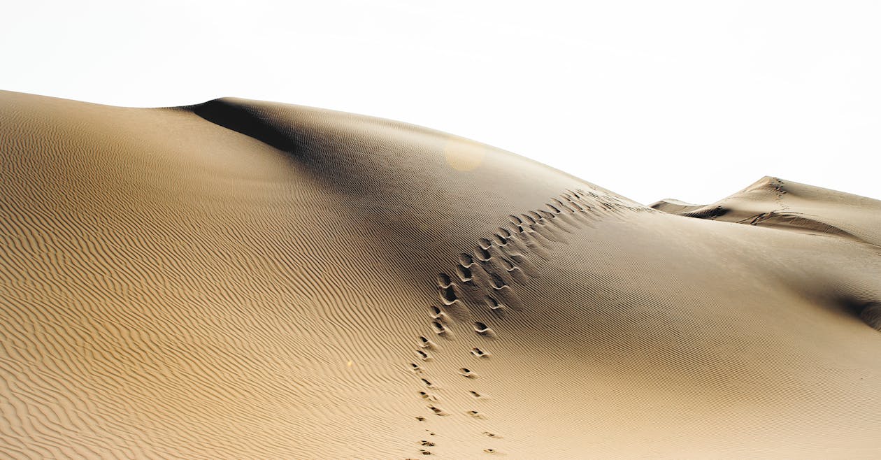 Foto d'estoc gratuïta de desert, dunes, dunes de sorra