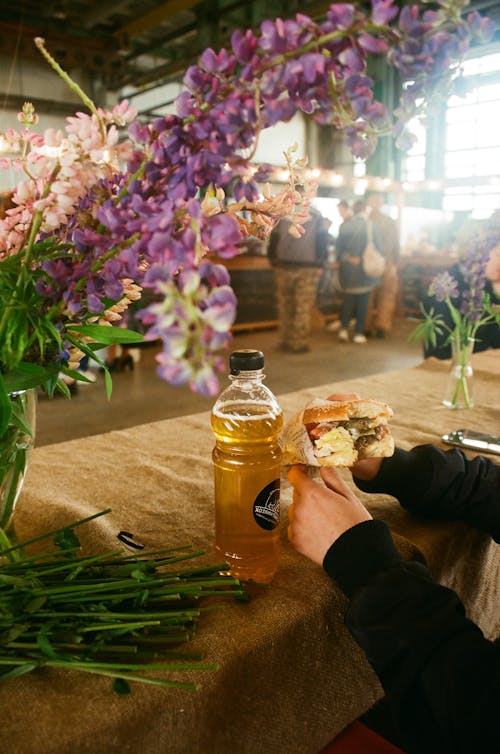 Ilmainen kuvapankkikuva tunnisteilla aromaattinen, hampurilainen, ihmiset