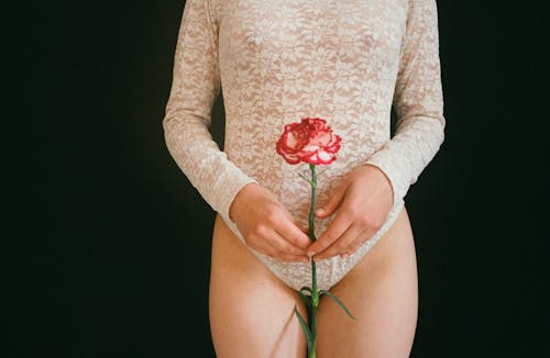 Frau, Die Rote Rosenblume Hält