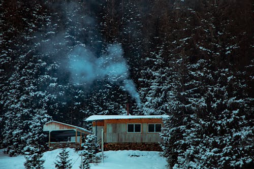 Foto De Cabin Cercada Por Pinheiros