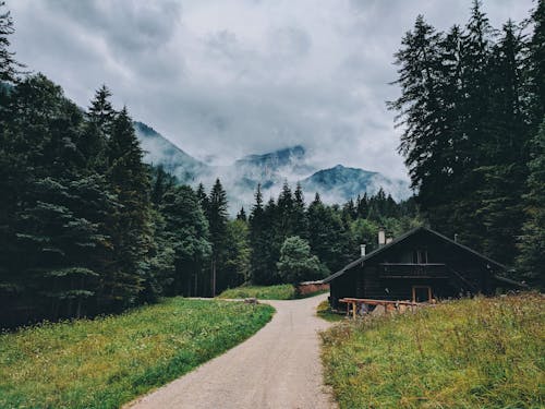 Foto Della Cabina Circondata Da Alberi Di Pino