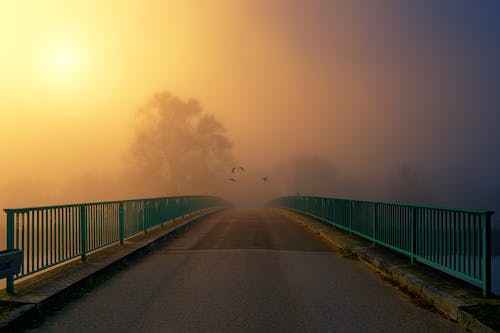 Kostnadsfri bild av asfalt, bro, dimma