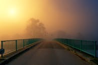 一座桥上，薄雾弥漫，日出宁静，栏杆与鸟儿点缀其间