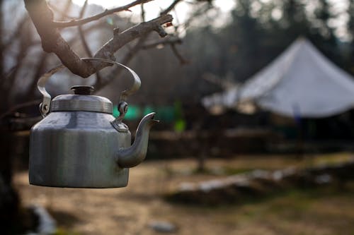 Selective Focus Photography of Kettle Hanging on Branch